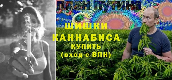 твердый Абаза