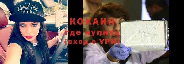 твердый Абаза