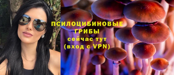 амфетамин Алексин