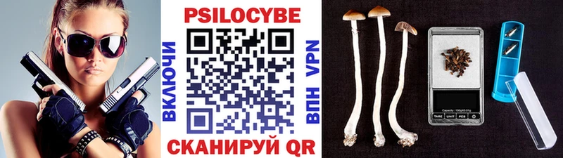 ссылка на мегу как войти  Клинцы  Галлюциногенные грибы Cubensis 